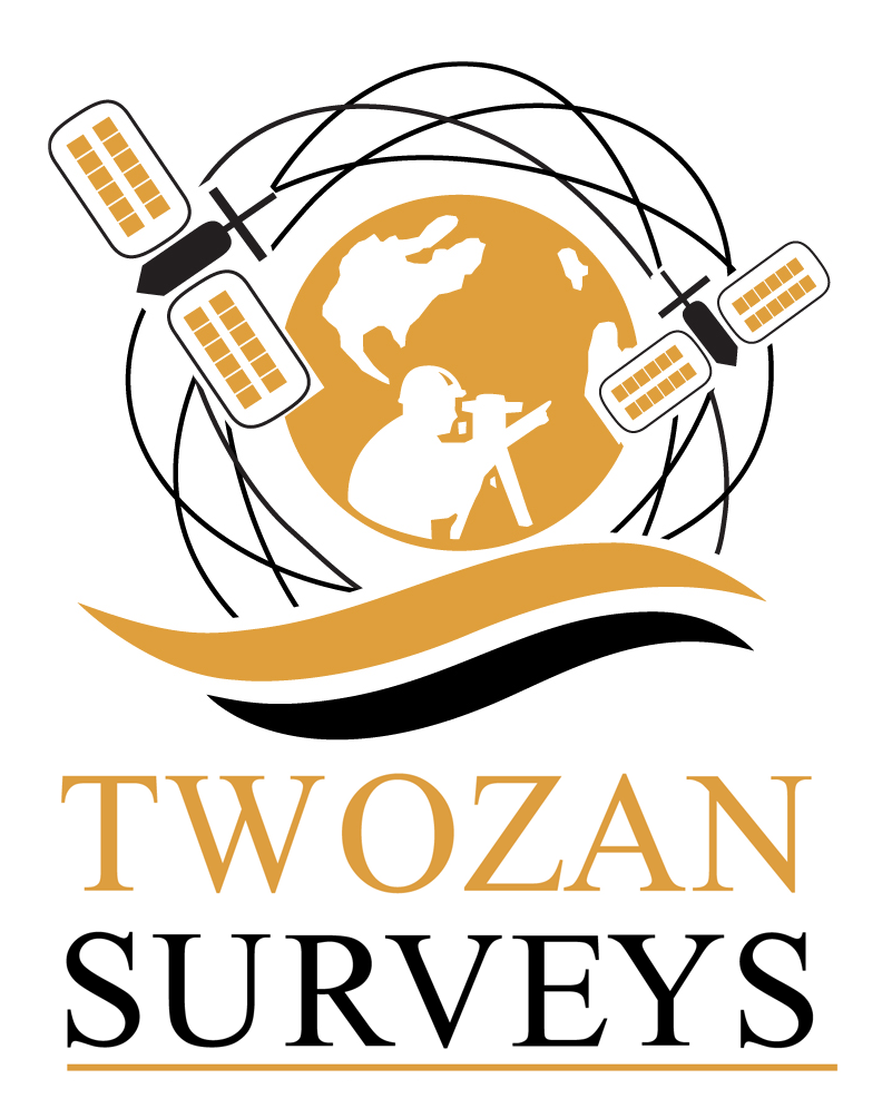 Twozan Surveys